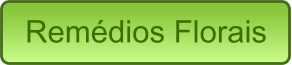Remédios Florais